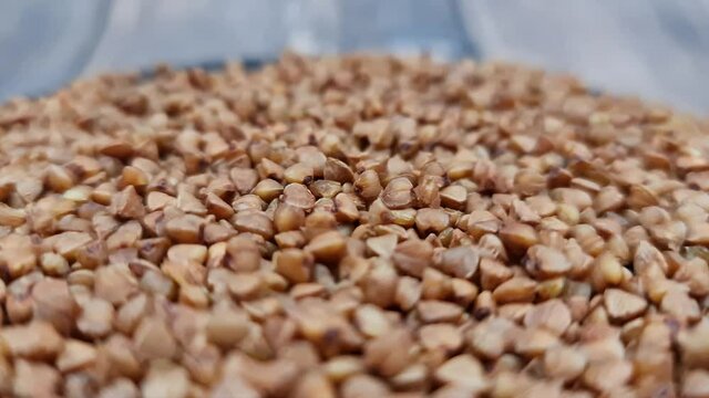 The Natural fresh buckwheat groats. Buckwheat close-up.