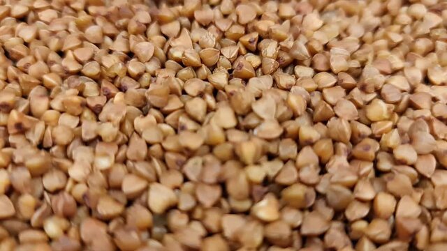 The Natural fresh buckwheat groats. Buckwheat close-up.