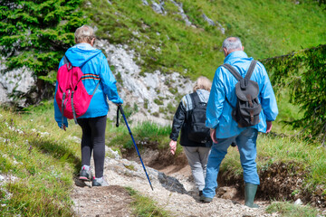 Fototapeta na wymiar Elderly people along a mountain trail in summer season, back view.