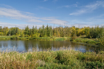 Pylypow on a Late Summer Day