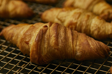 Closeup shot of almost ready croissants in an oven