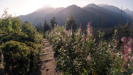 landscape in the morning © Sieku Photo