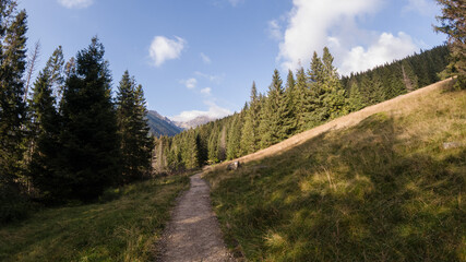 Fototapeta na wymiar path in the mountains