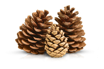 composition of three brown pinecones isolated on white background. Has a reflex and a shadow. New Year and Christmas decor. Clipart. Design element