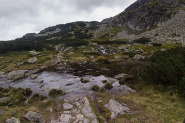 stream in the mountains