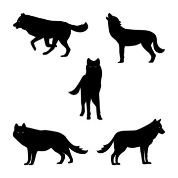 Set of black wolf silhouettes on white background