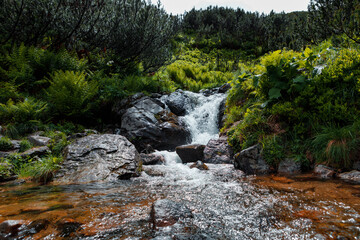 beautiful mountain waterfall with trees in the background