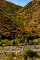 stream in the valley