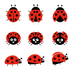 Ladybugs cute characters set. Ladybirds insects flying with open wings and big eyes. Vector isolated on white