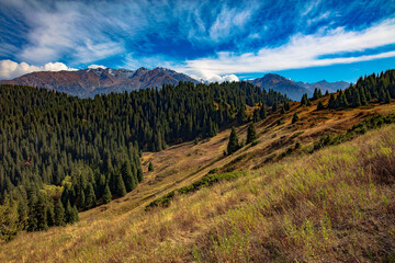 landscape in the mountains