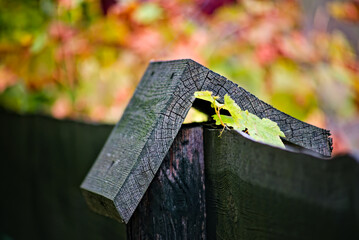 Stary drewniany płot . Element ogrodzenia . Old wooden fence. Element of the fence.  © Grzegorz