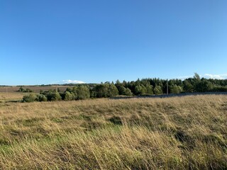 Obraz premium grass and sky