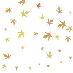 Autumn maple confetti. Simple autumn background
