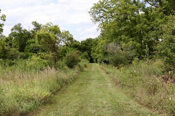 Fototapeta na wymiar The grass trail in the countryside field.