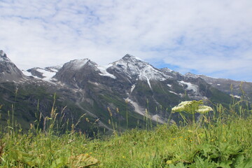Fototapeta na wymiar Alpenpanorama, Berge und Wiese mit Himmel