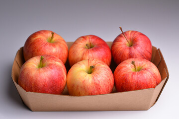 Fresh red apples in a pulp paper tray. Red apples on pulp paper food trays. Shiny red apples.