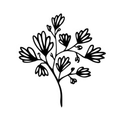 A symbol for a bush of flowers. Inflorescences, doodle style plant. Black and white drawing for decoration of decor, postcards, covers. Vector illustration.