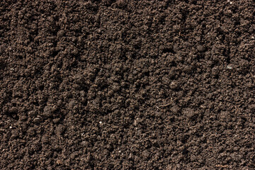 Black earth texture. Loose ground close-up. Plowed soil