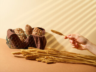 On a beige background, a basket with black bread, a bunch of cereals on the table and one spikelet in a woman's hand. Beautiful composition. A symbol of harvesting, prosperity and wealth, a bakery.