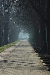Obraz premium alley in the morning