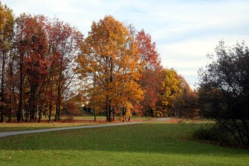 autumn in the park, Třeboň, Czech Republic