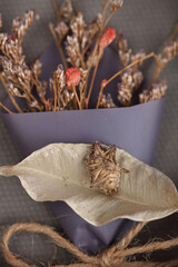 Artist depression concept. Photography in time of Pandemic Lockdown. Dead bugs , Death Of inspiration.