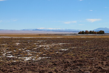 incredible volcanic and desert landscape of the Argentine Puna