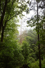 Obraz premium Na Podlasiu