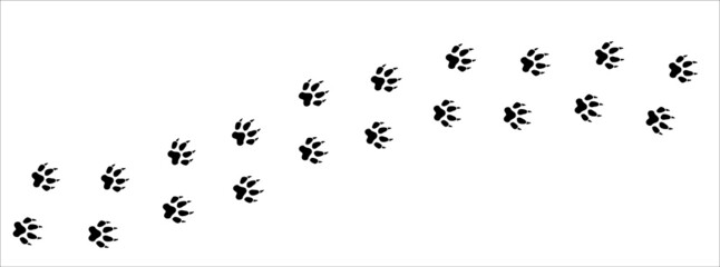 Fox paw print trail. Dog, cat paws foot print trace. background vector illustration.