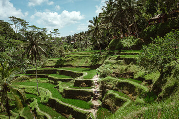 Bali © Wodzownik