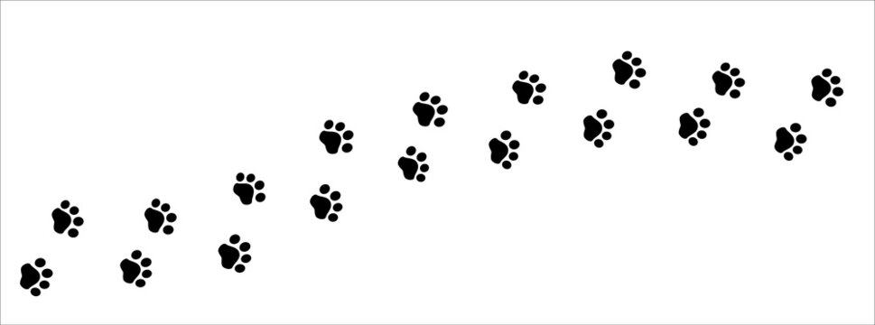 Cat paw print trail. Dog paws foot print trace. background vector illustration.