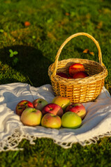 ripe fruits in a basket on a tablecloth on the grass in the garden