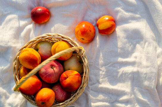 fruits in a basket on a light background