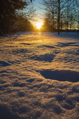 Winter landscape in Braunschweig, Lower Saxony, Germany. Snow covered city park during sunset on a beautiful sunny winter day