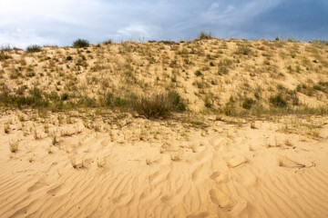 Yellow sandy rampart in the desert with bunches of low grass
