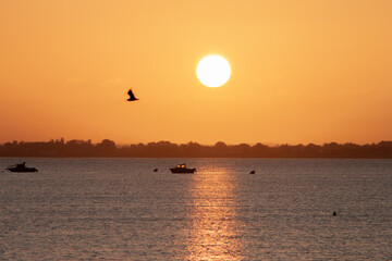 Le soleil se lève sur Penvins Bretagne France. Les bateaux sont au mouillage et une mouette en vol se dirige vers la gauche. Le disque du soleil est bien rond jaune au centre de la photographie.