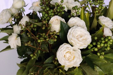 white roses in a garden