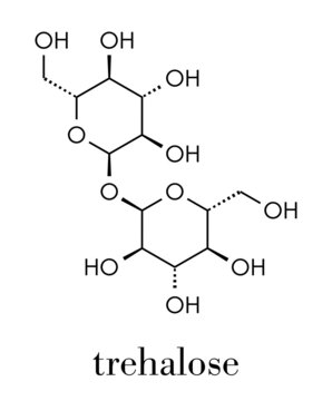 Trehalose (mycose, tremalose) sugar molecule. Skeletal formula.