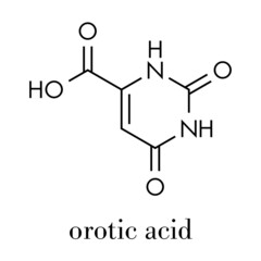 Orotic acid molecule. Skeletal formula.