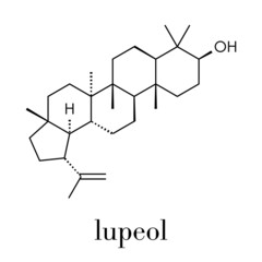 Lupeol herbal triterpenoid molecule. Skeletal formula.