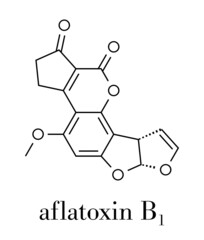 Aflatoxin B1 mold carcinogenic molecule. Skeletal formula.