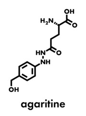 Agaritine mushroom toxin molecule. Skeletal formula.