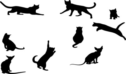 set of cats silhouettes