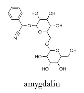 Amygdalin herbal molecule. Found in many plants including bitter almonds. Skeletal formula.