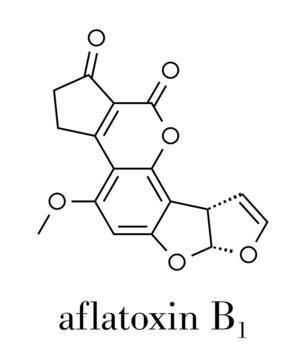 Aflatoxin B1 mold carcinogenic molecule. Skeletal formula.