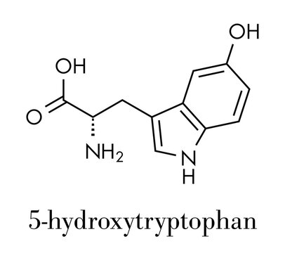 5-Hydroxytryptophan amino acid molecule. Skeletal formula.