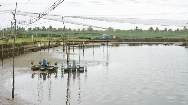 A video of manmade fish and prawn farming farms that rear and breed fish and prawns and shrimps