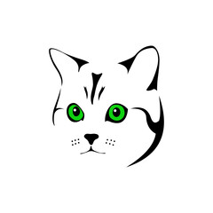 Image of a cat's head with green eyes. Pet cat