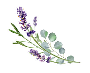 Lavender flowers and eucalyptus branches isolated on white. Floral wreath. Watercolor illustration for card, invitation, stationary, blog design