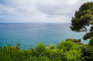 View from the green overgrown bushes and trees of the coast ocean and horizon